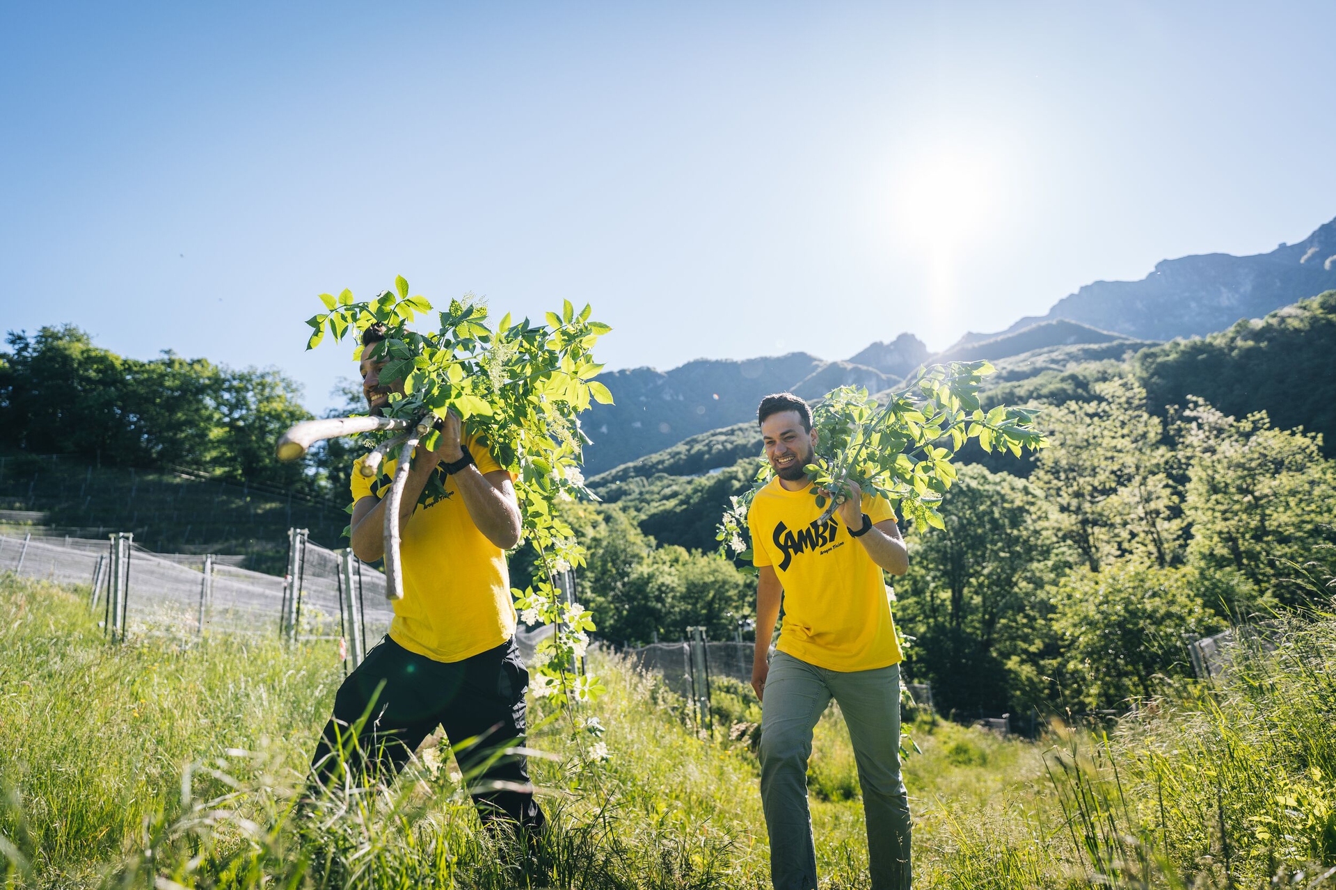 Web Version-Bianchi Bio, Arogno-Ticino Turismo - Milo Zanecchia