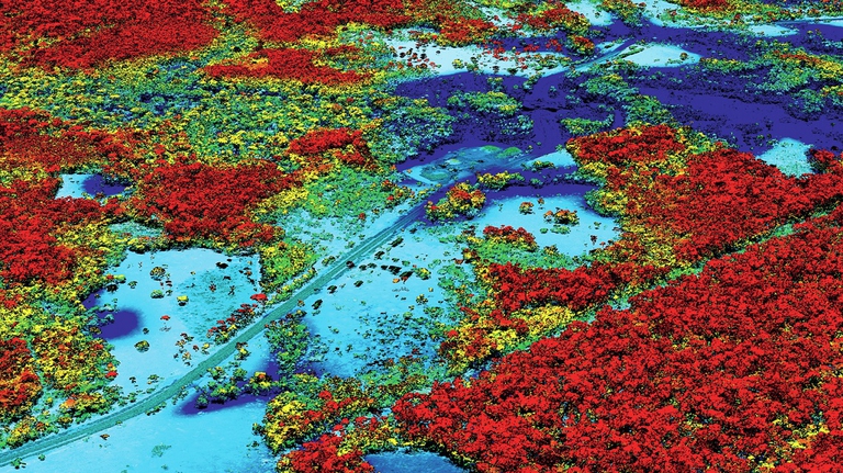 Mappatura aerea di una foresta