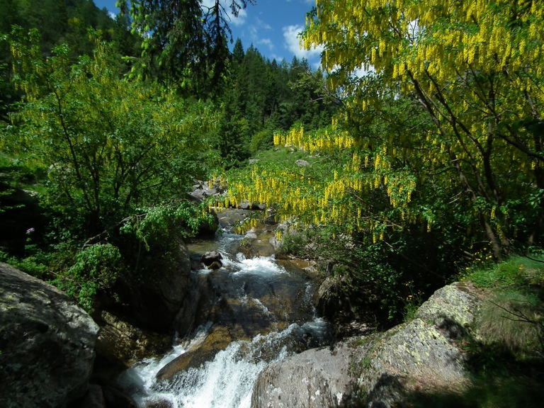 Val Sanguigno foto Pierino Vigoni