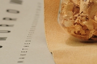 Remake, la prima carta realizzata con fibre di cuoio riciclate