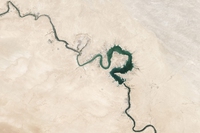 La “mezzaluna fertile” sta diventando arida. E si rischia la catastrofe umanitaria