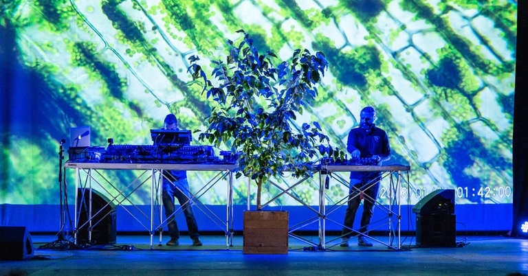 Performance dei Plants Dub a God is Green festival