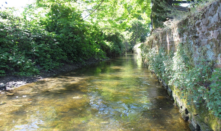 parco del Ticinello