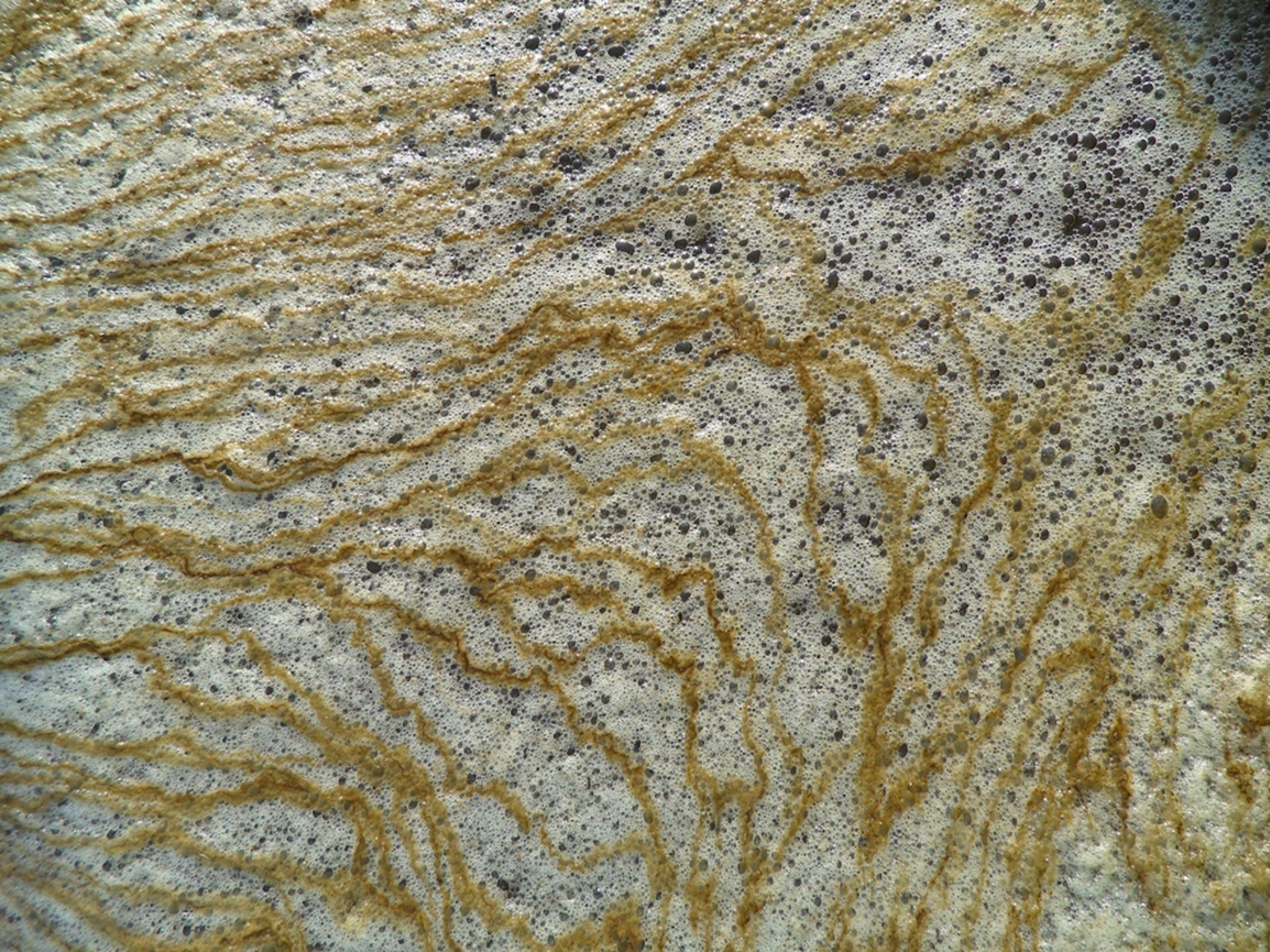 PCBs, the infamous chemicals that keep harming the environment