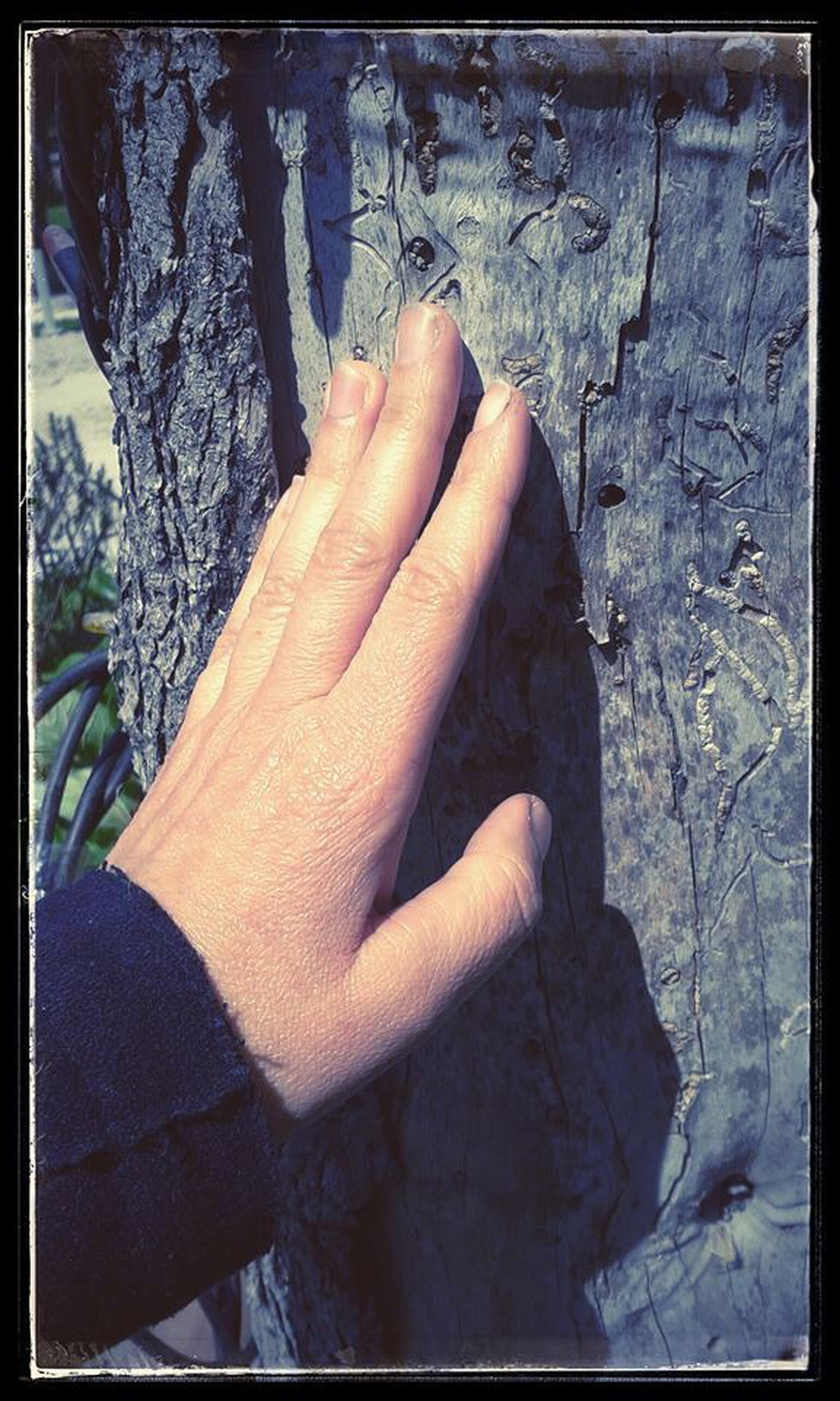 Tree hug selfie, i vincitori del primo concorso degli autoscatti con gli alberi