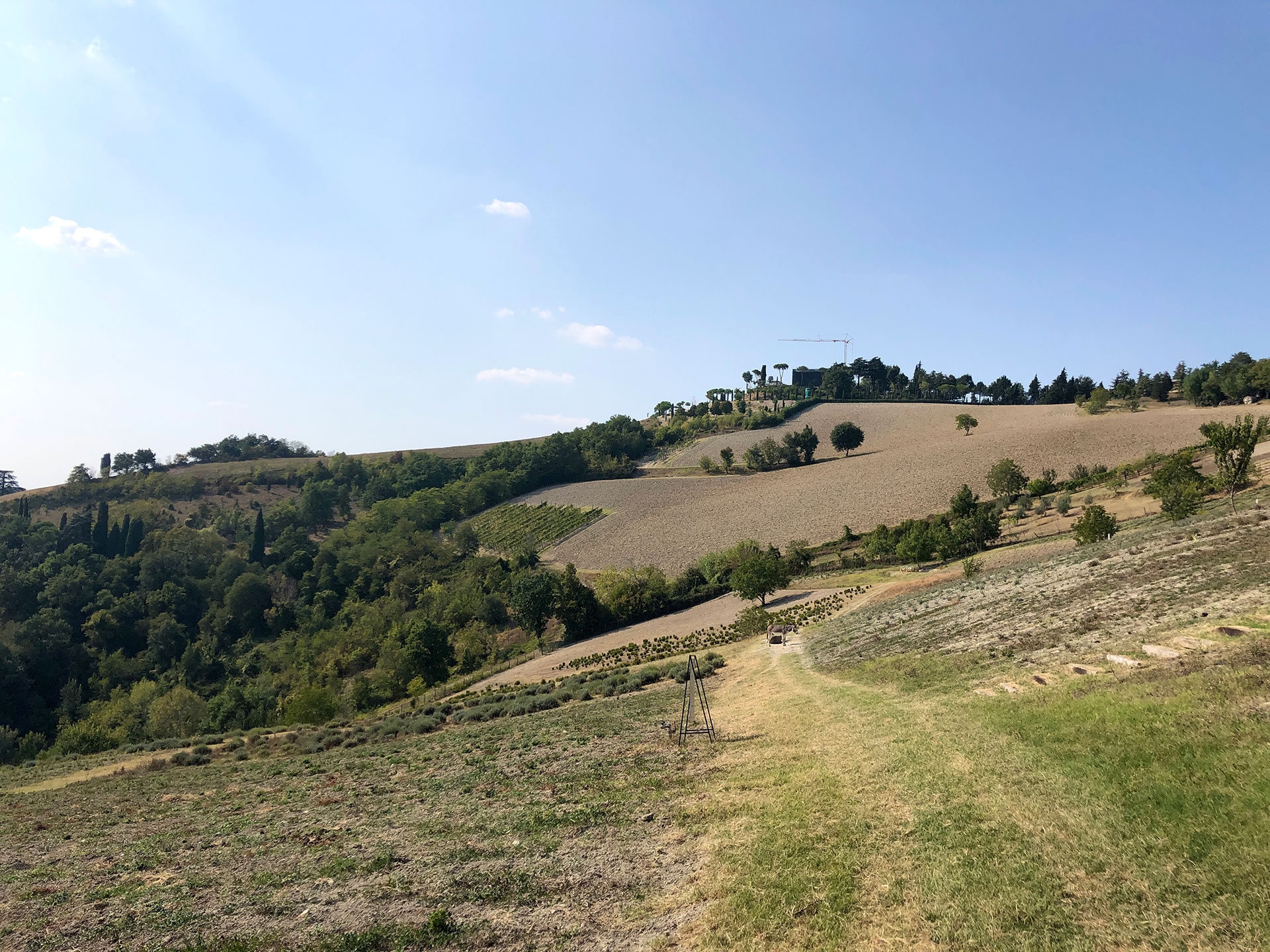 Ortofficina Oway sui colli bolognesi