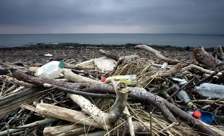 rifiuti plastica mare