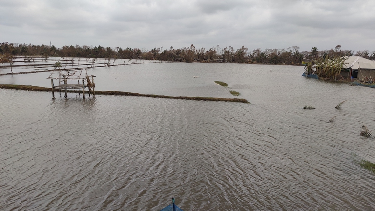effects, cyclone amphan, west bengal, india, sundarbans, fields, agriculture