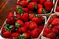 Fragole con fonduta di cioccolato