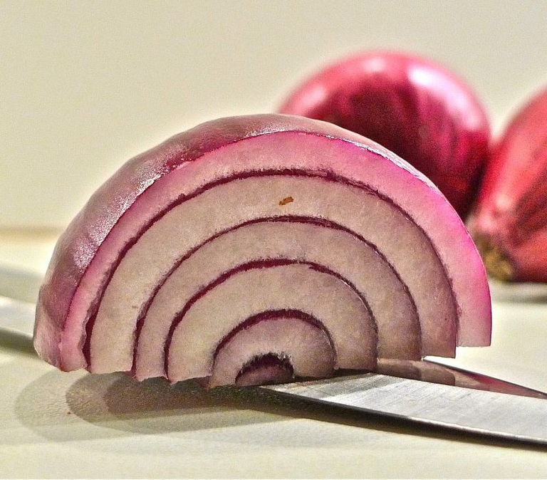 cipolla rossa, tropea, sezione