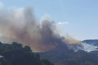 Gli incendi in Sicilia bruciano montagne, riserve naturali e siti archeologici