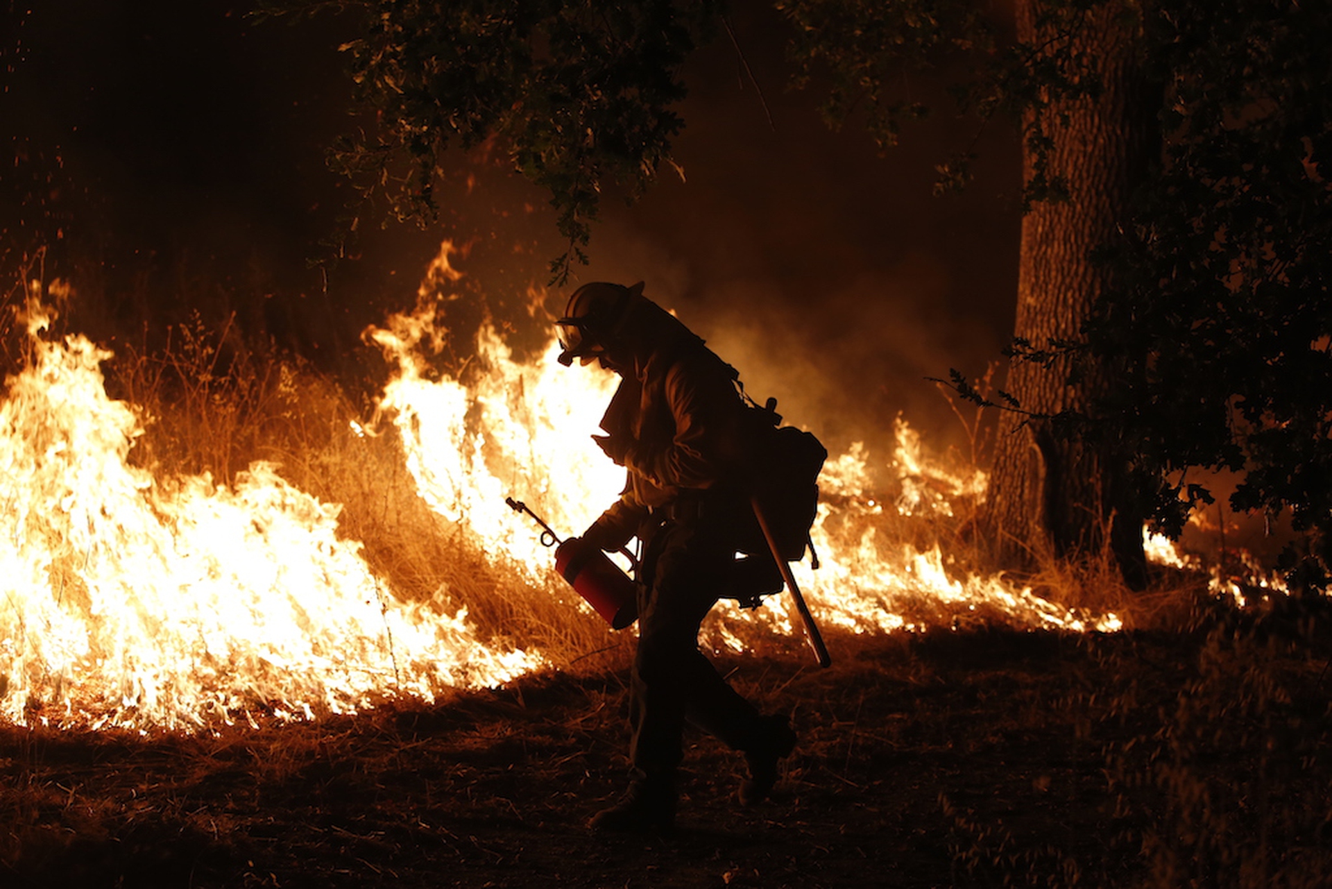 in-the-flames