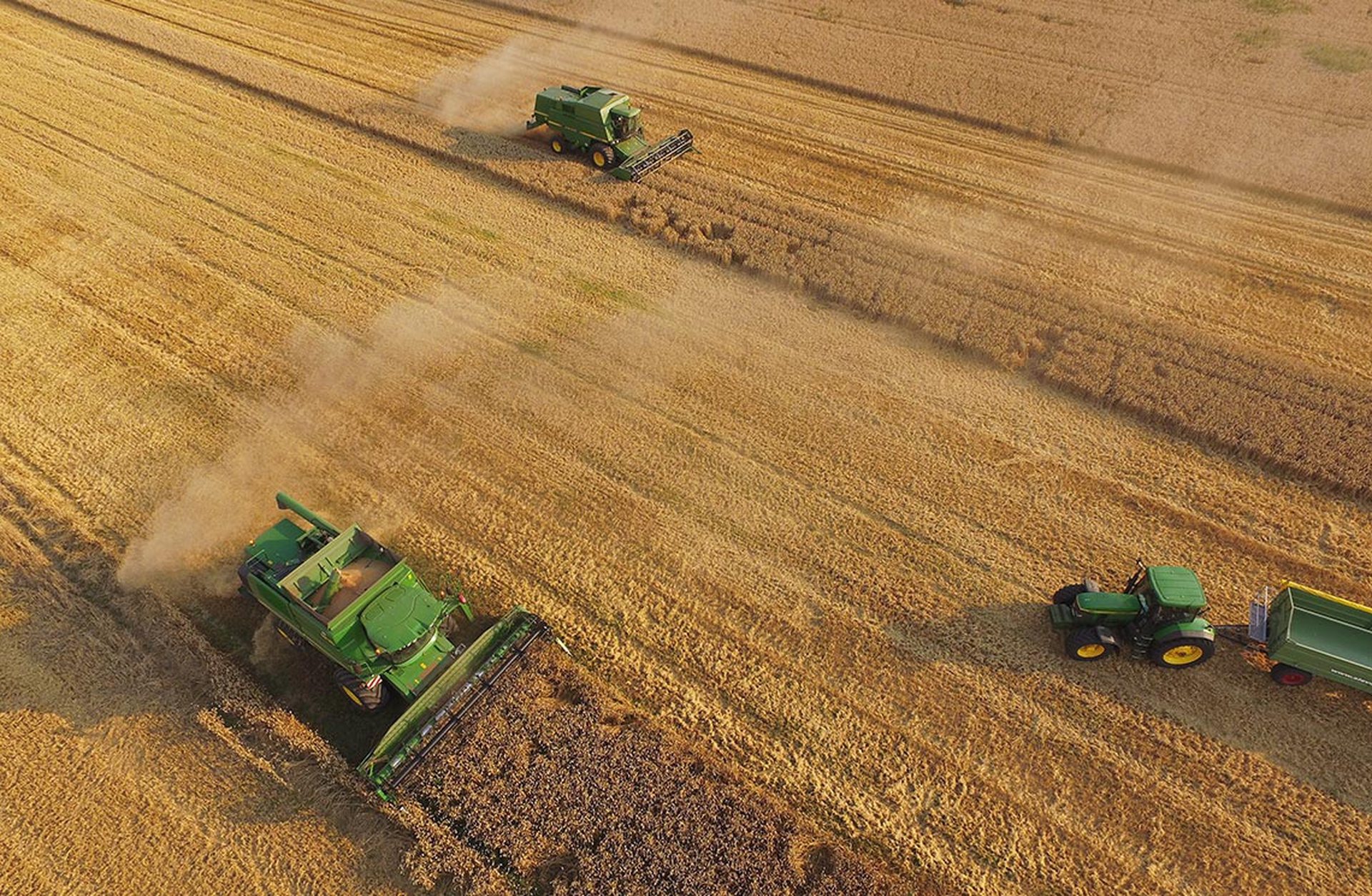 Quali Sono Le Conseguenze Della Moderna Agricoltura Sull Ambiente Che rapporto c'è tra agricoltura e cambiamenti climatici: cause e
