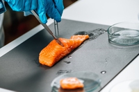 Pesce creato in laboratorio, un trend che attrae sempre più investimenti