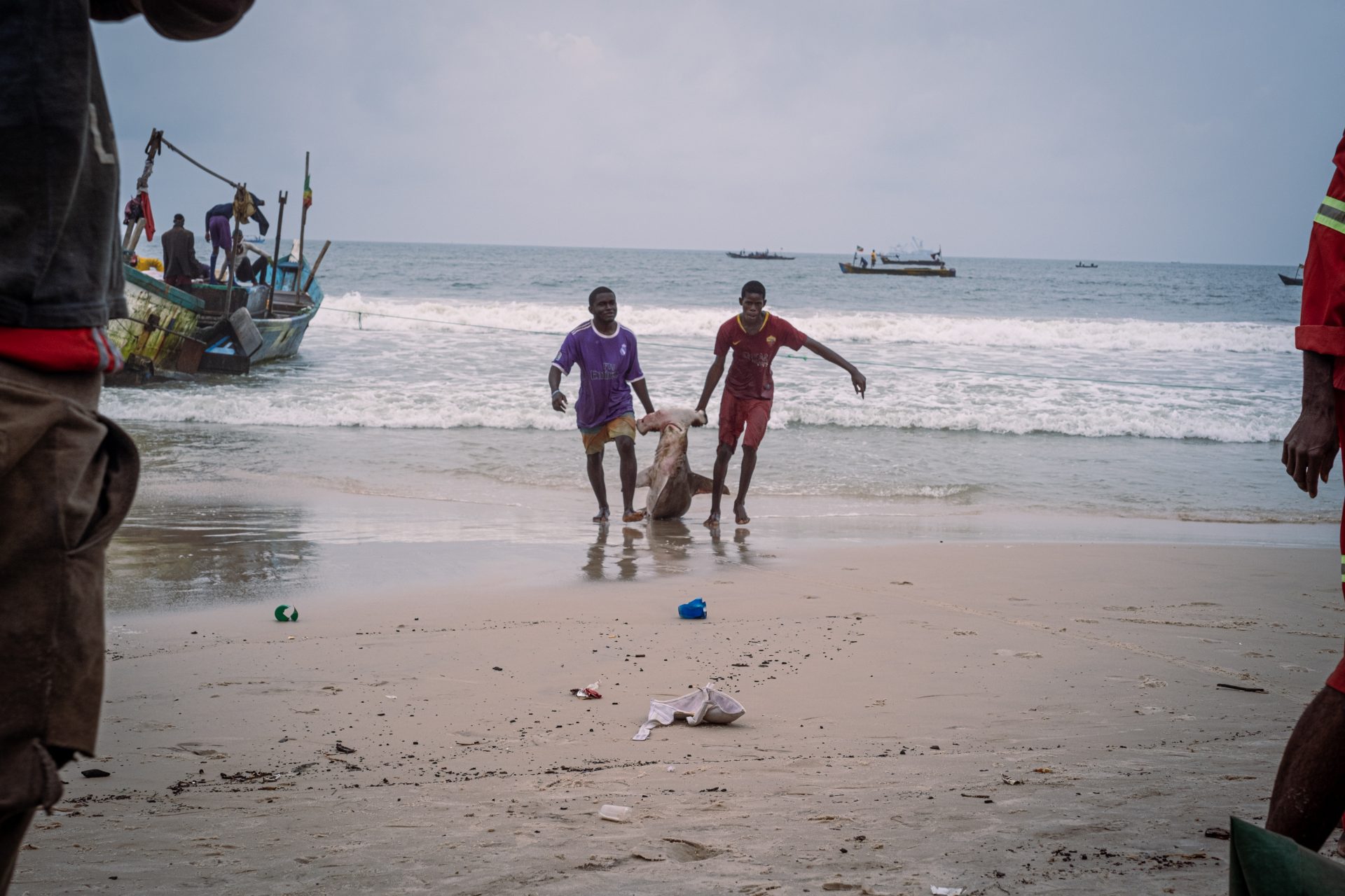 Foto squali Congo-otto