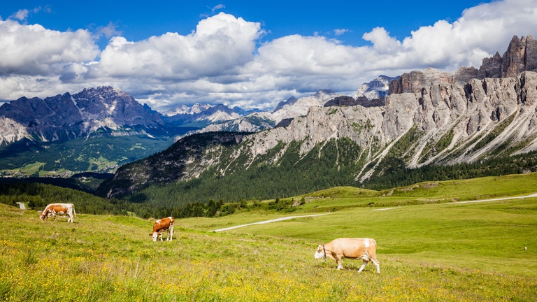 Oltre un miliardo di persone vive nelle aree montane