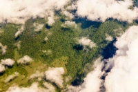 Come l’Artico sta diventando sempre più verde
