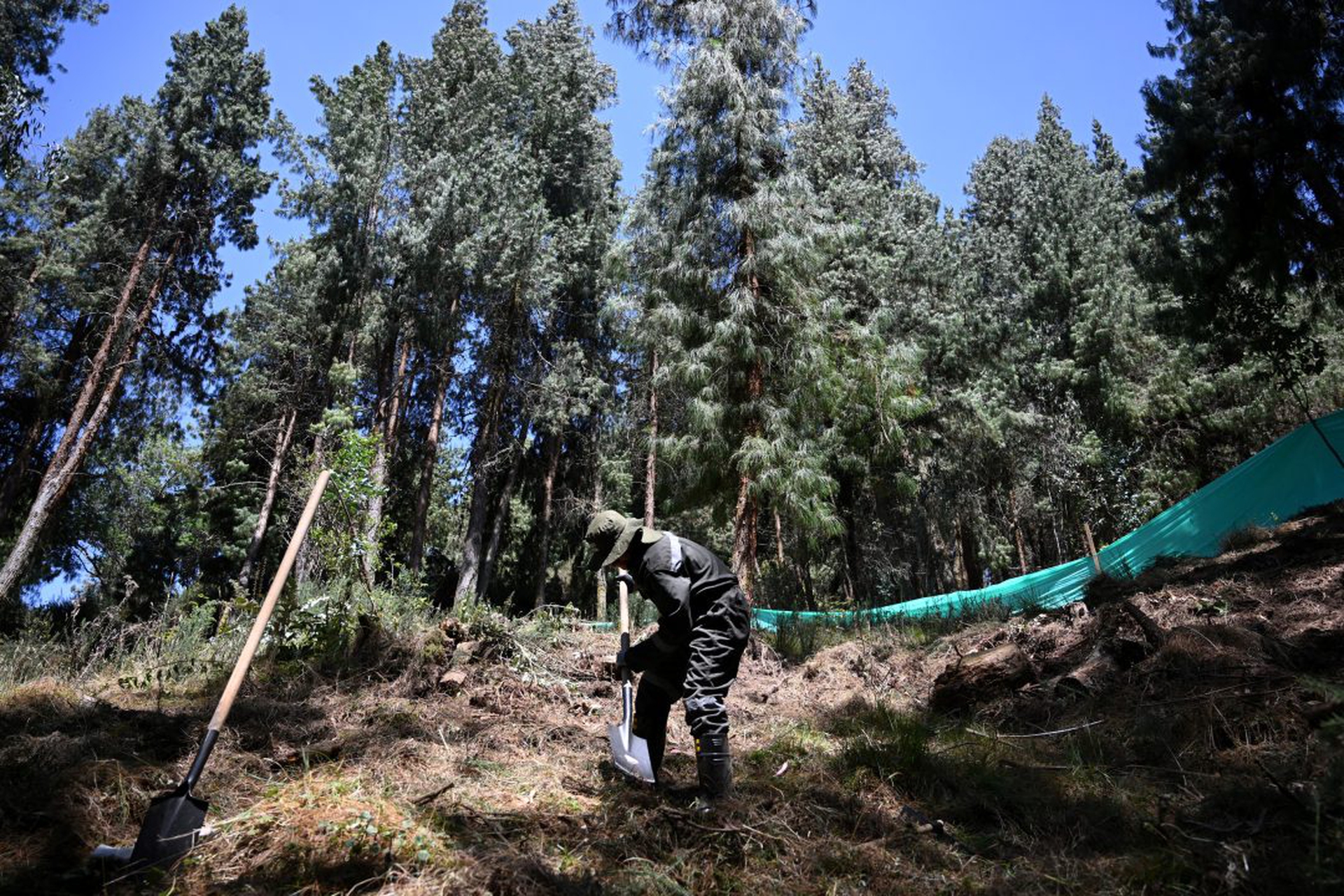 COLOMBIA-CONFLICT-JUSTICE-ENVIRONMENT