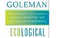 Intelligenza ecologica
