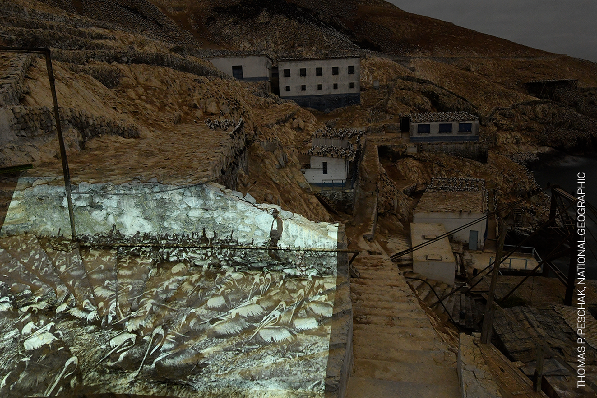 045_Thomas P Peschak_National Geographic_Online