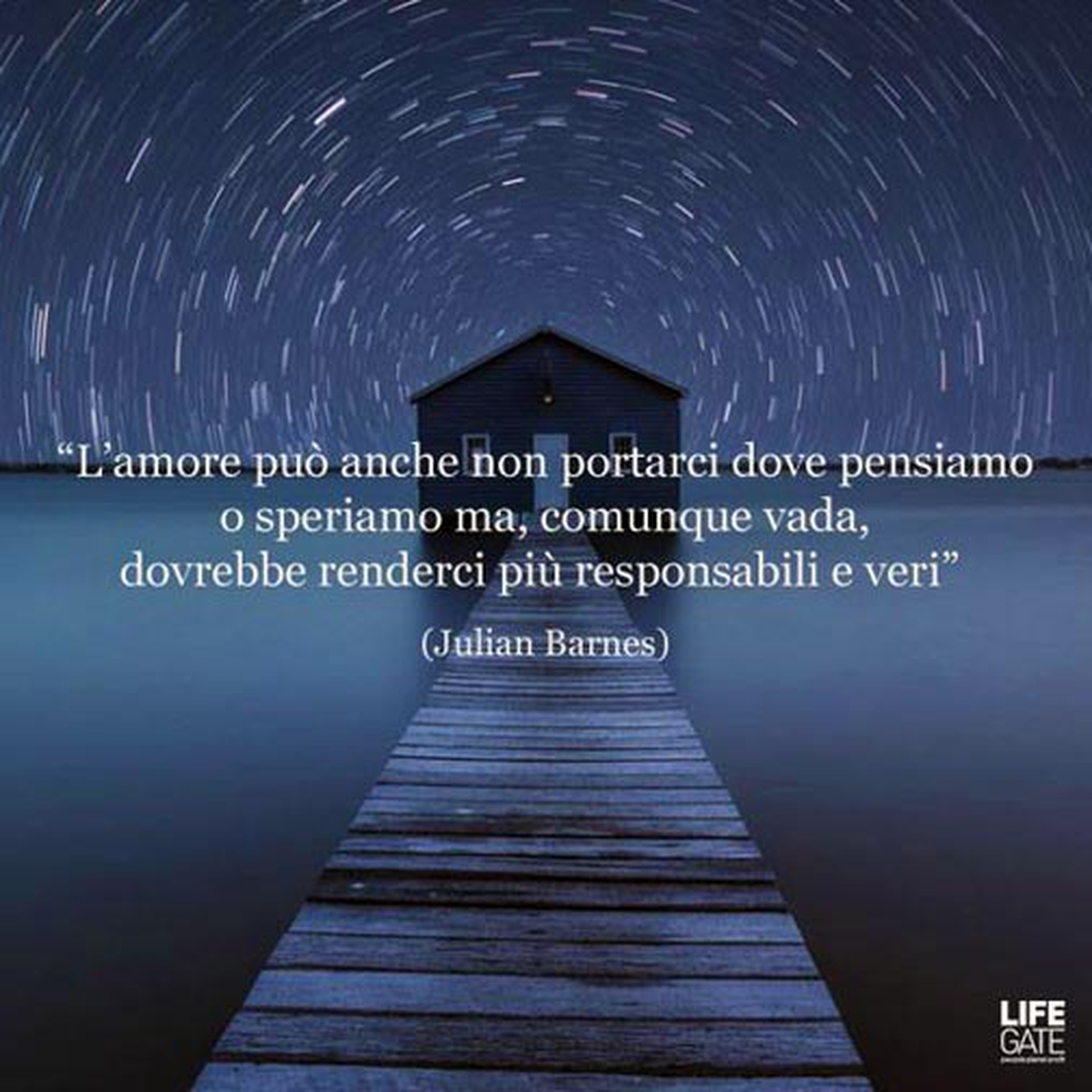 Le citazioni più belle per sempre - Julian Barnes