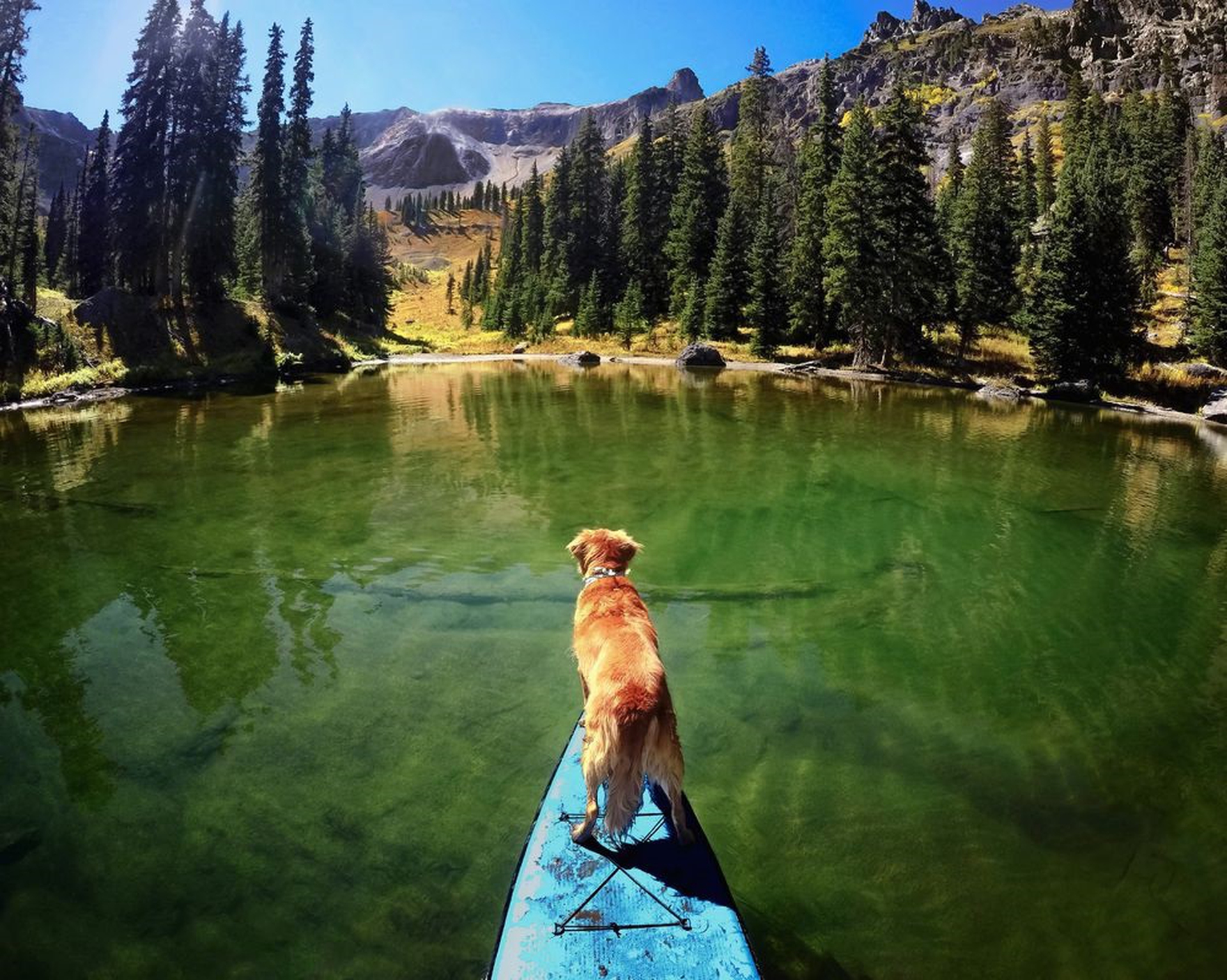 The best GoPro photos for World Environment Day