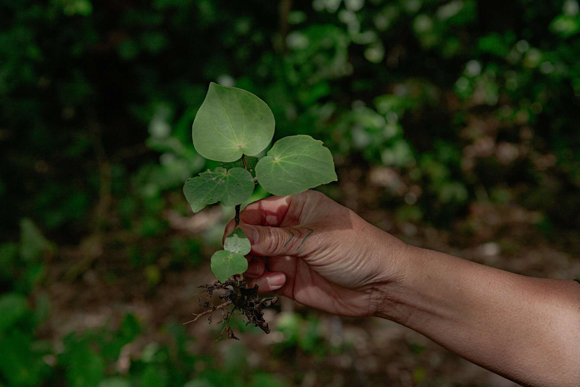 World press photo 2025