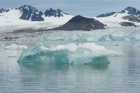 Artico, temperature fuori controllo con punte di 20 gradi sopra la media