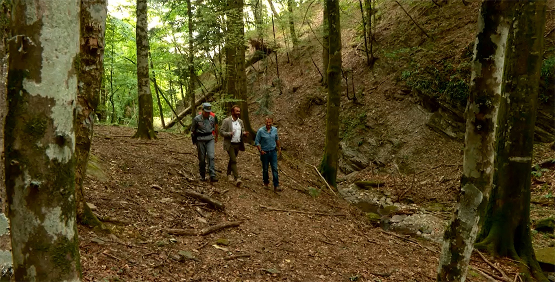 foreste casentinesi_3