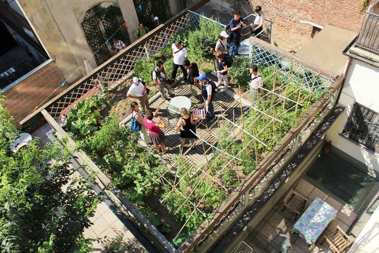 tetti verdi roof dinners