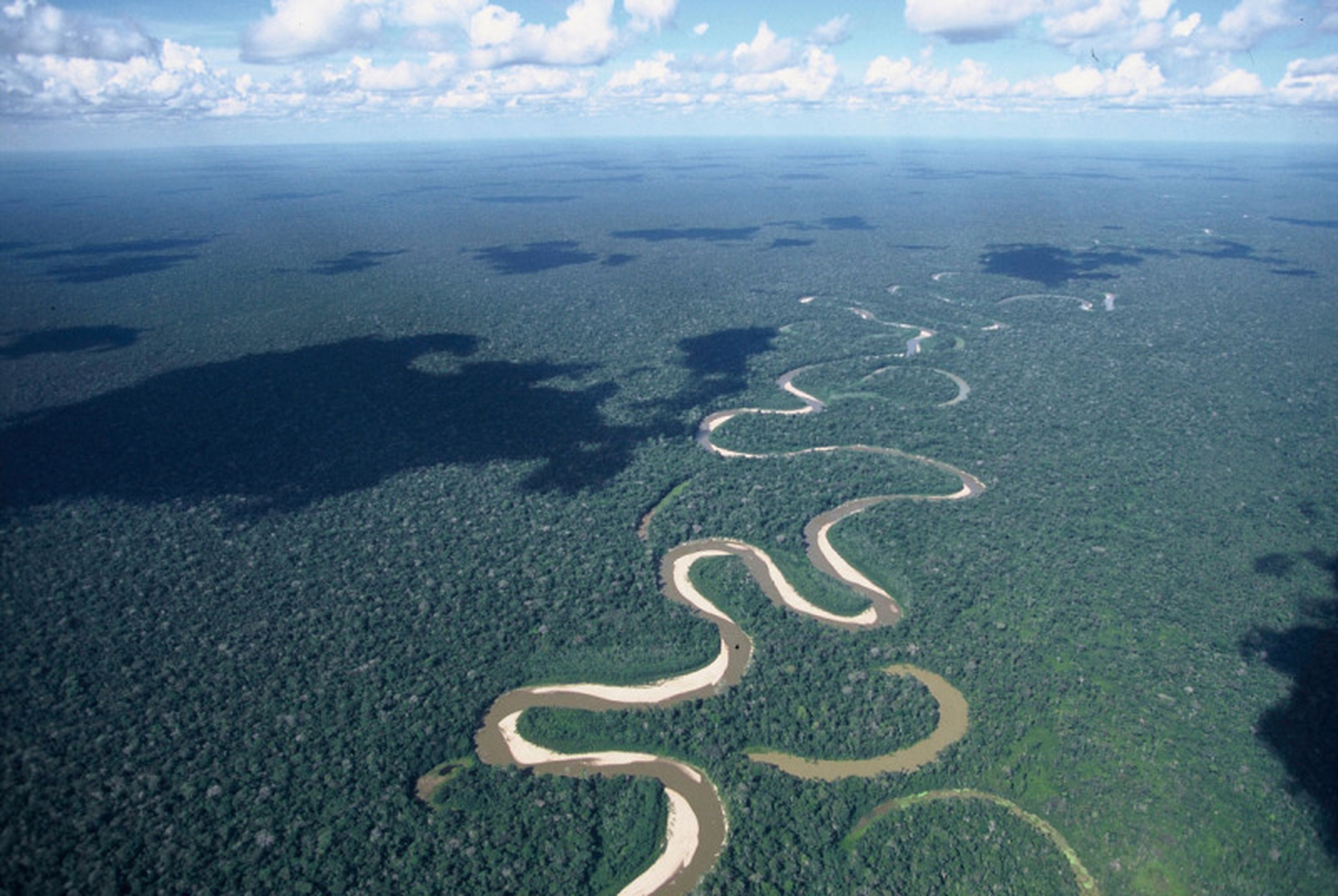 Perché la soia minaccia l'Amazzonia