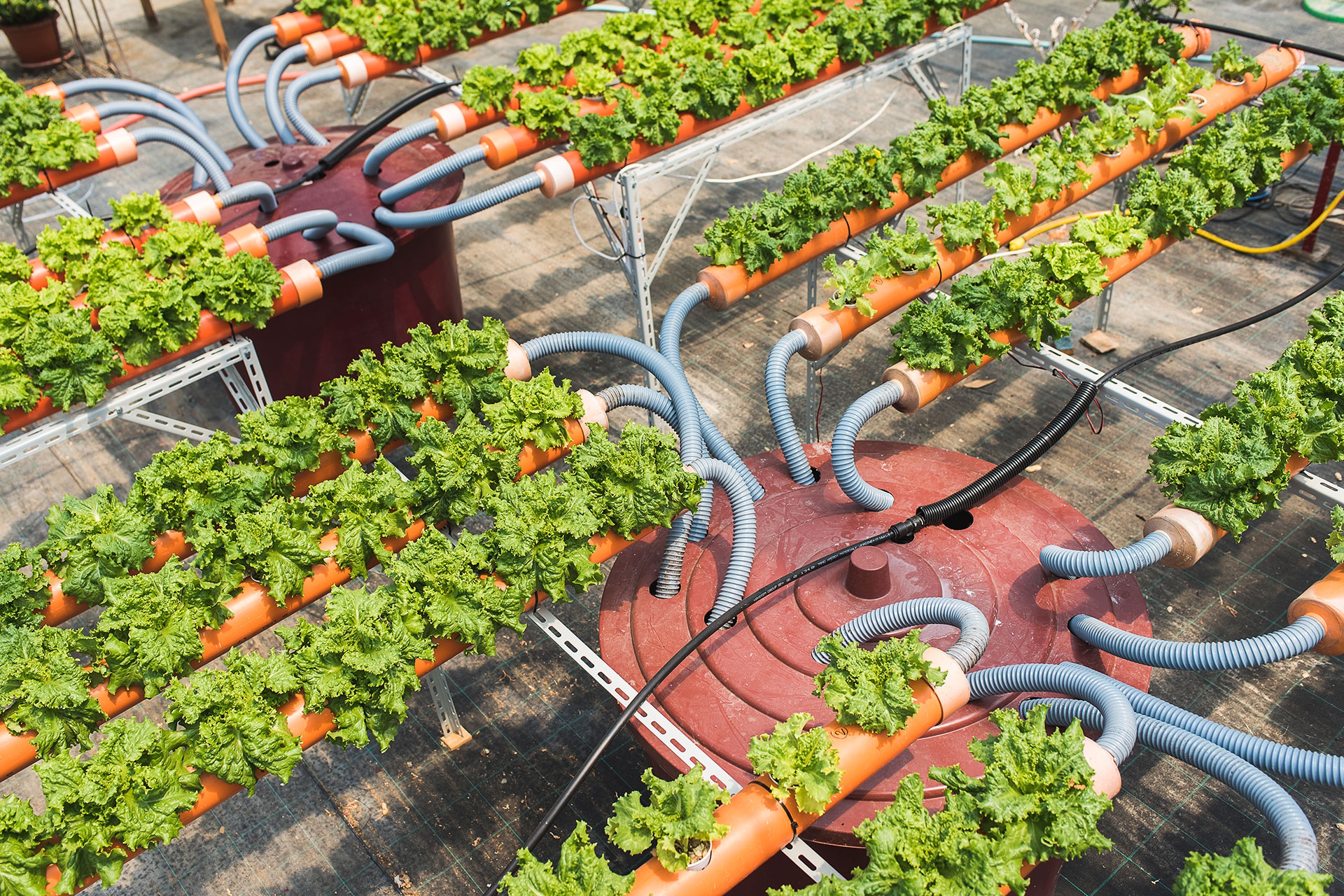 Global impact network