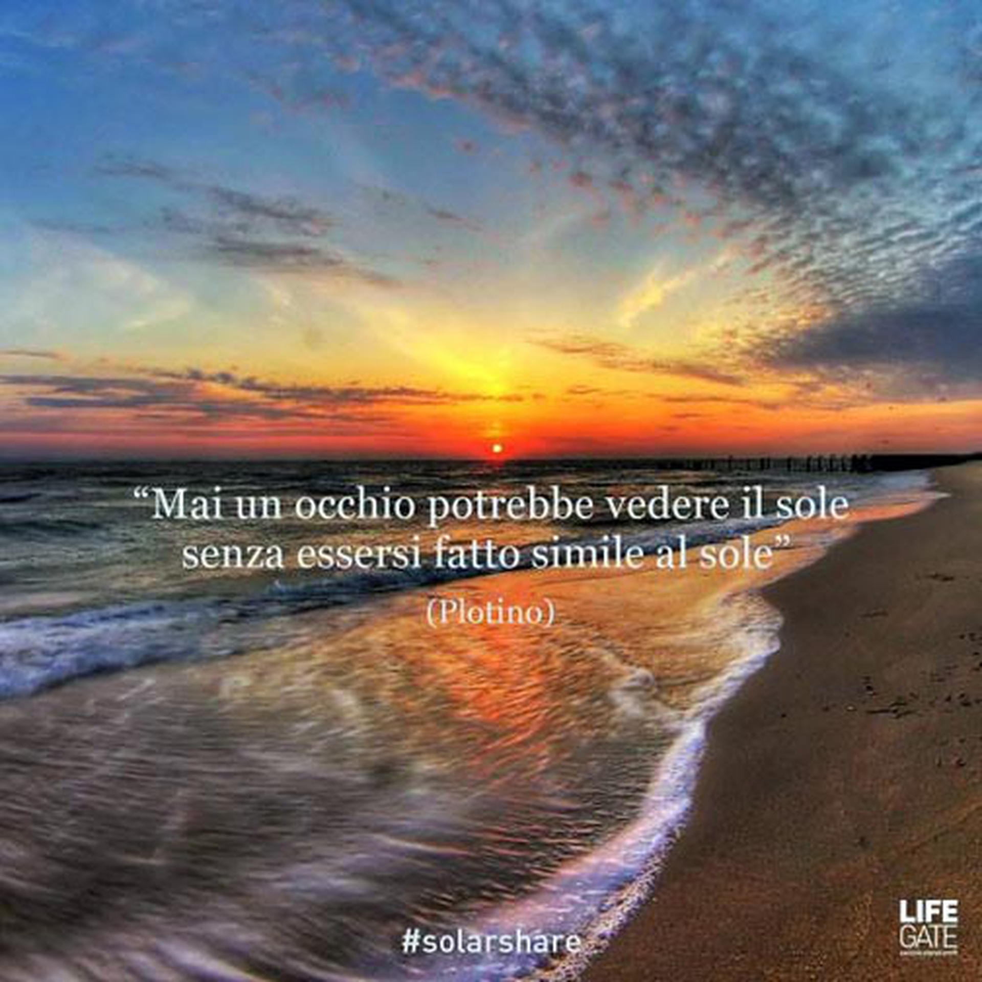 Le citazioni più belle per sempre - Plotino