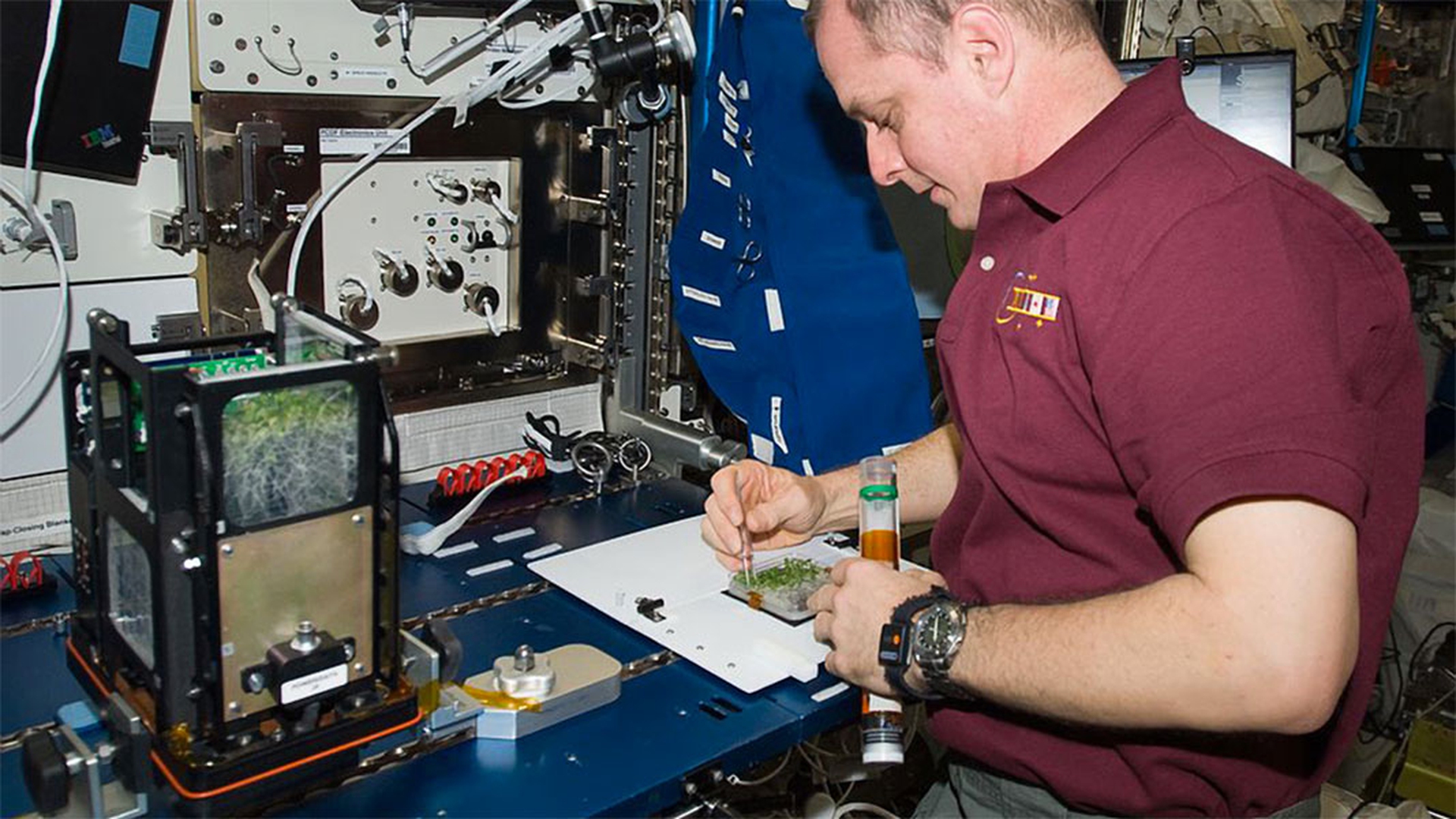 Cibo nello spazio. Dai cubetti dell'Apollo 13 ai legumi Slow Food di Samantha Cristoforetti