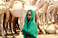 El Niño’s effects in the Horn of Africa. Somali children are the most affected