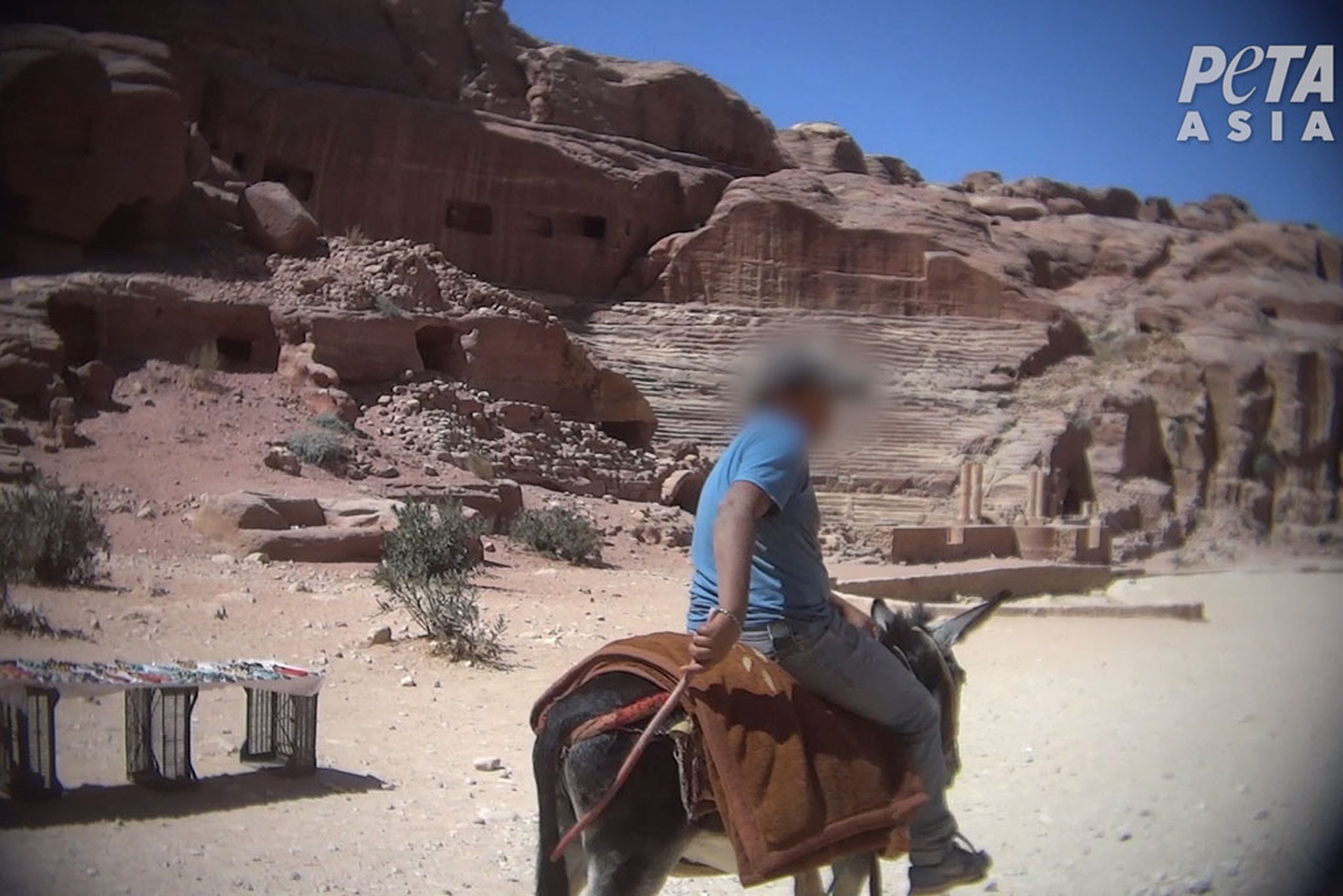 Maltrattamenti animali a Petra, in Giordania