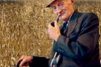 La rivincita dei vecchi legumi e cereali