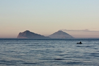 Pesca sostenibile, alle Eolie i pescatori sottoscrivono un codice di condotta etica