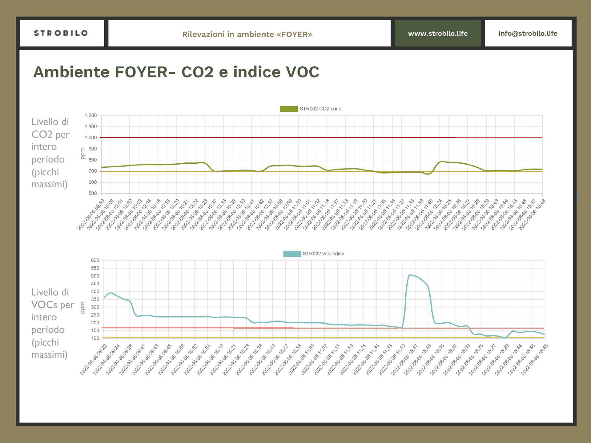 strobilo Gedi voc co2