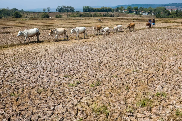 Siccità estrema nel villaggio di Wening Gali, in Indonesia