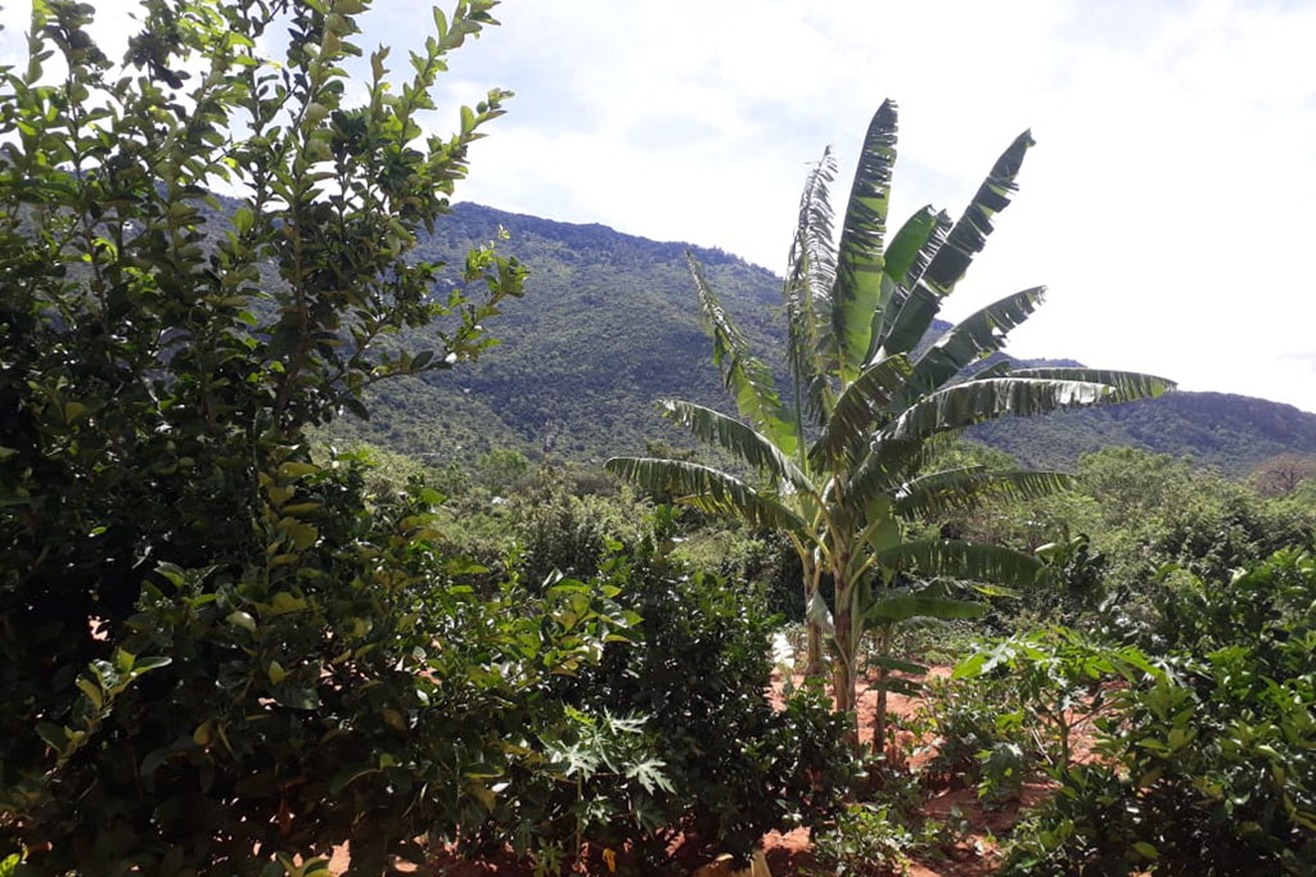 Images of rural Kenya