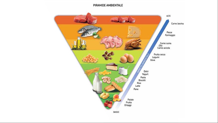 Tenere conto della variabile ambientale nelle scelte nutrizionali dei singoli e della collettività. Questa linea di pensiero è stata ripresa in Italia dal Bcfn (Barilla Center for Food and Nutrition), che ha dunque valutato l’impatto ambientale delle diverse categorie di alimenti.