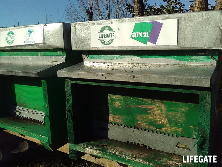 Arca Etichette, bee my future