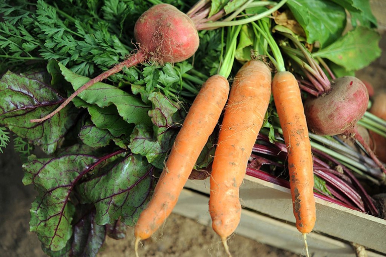 ortaggi da agricoltura biodinamica