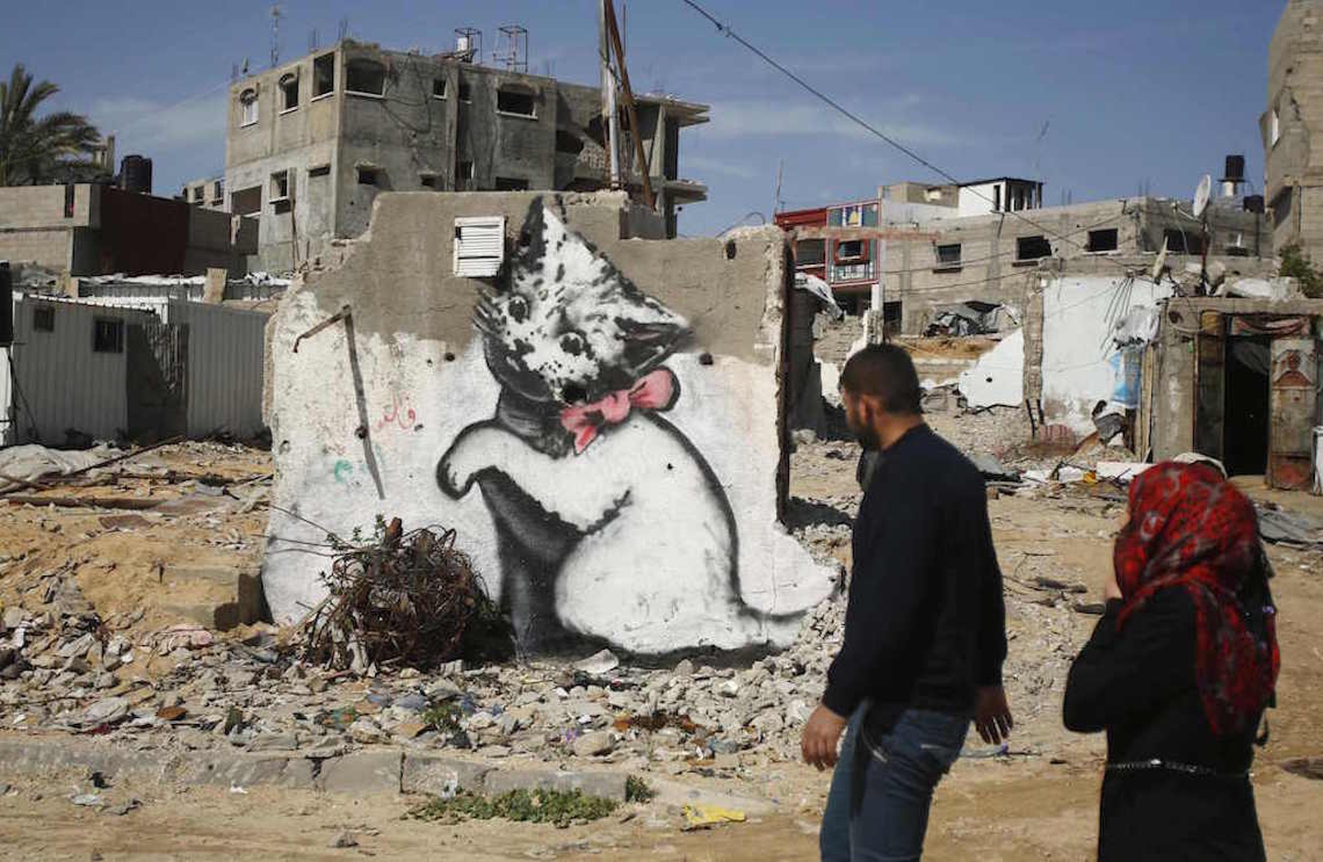 2015-gaza-cat
