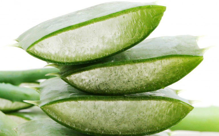 aloe protezione cancro