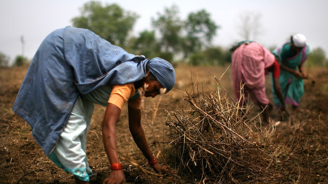 India in the grip of climate change