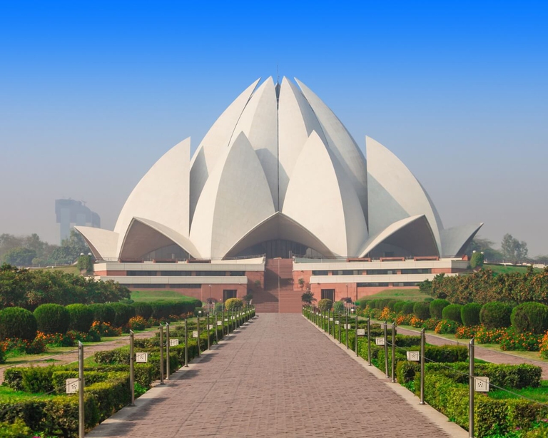 l fiore di loto nella cultura e nell'arte