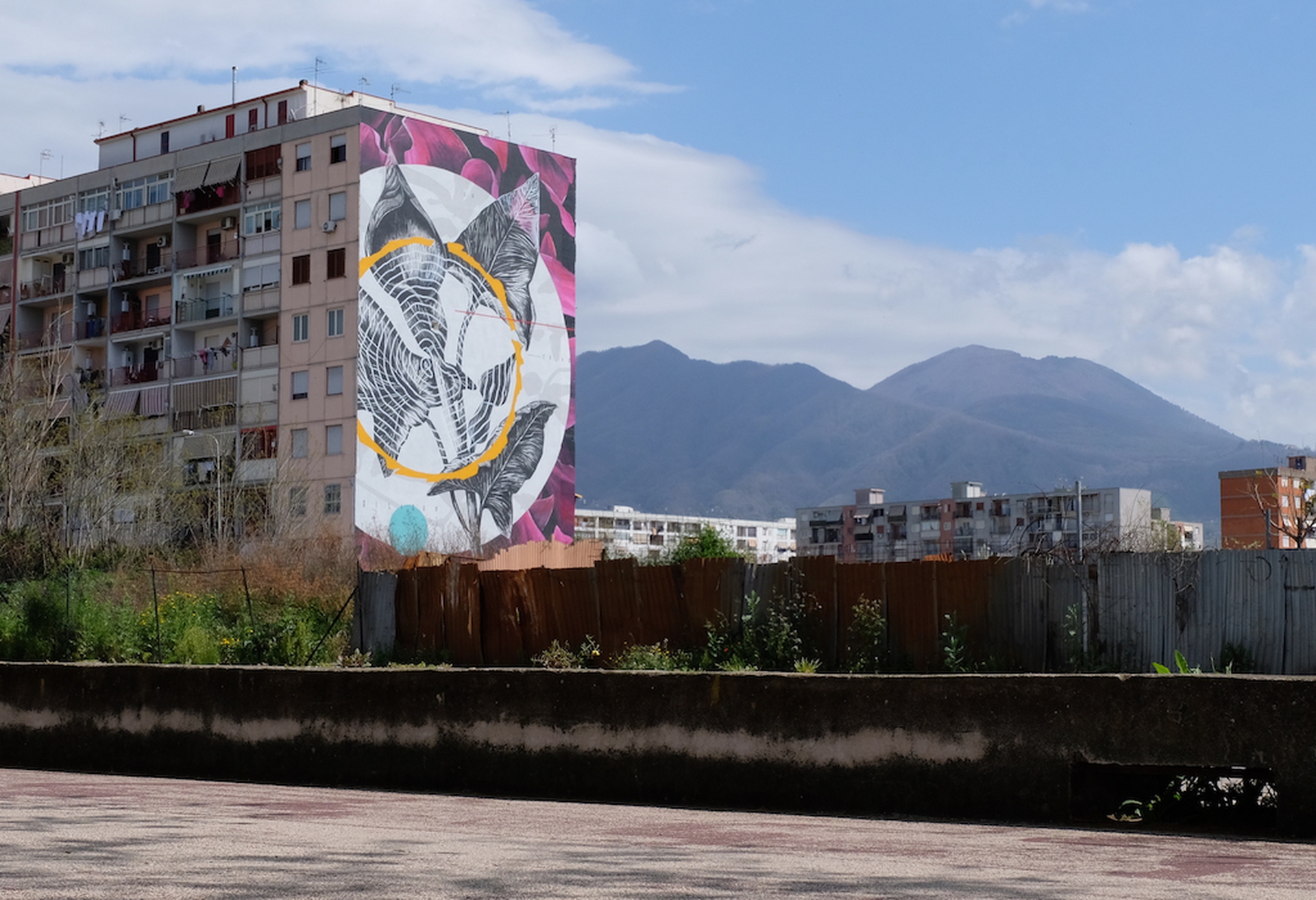 O sciore cchiù felice di Fabio Petani