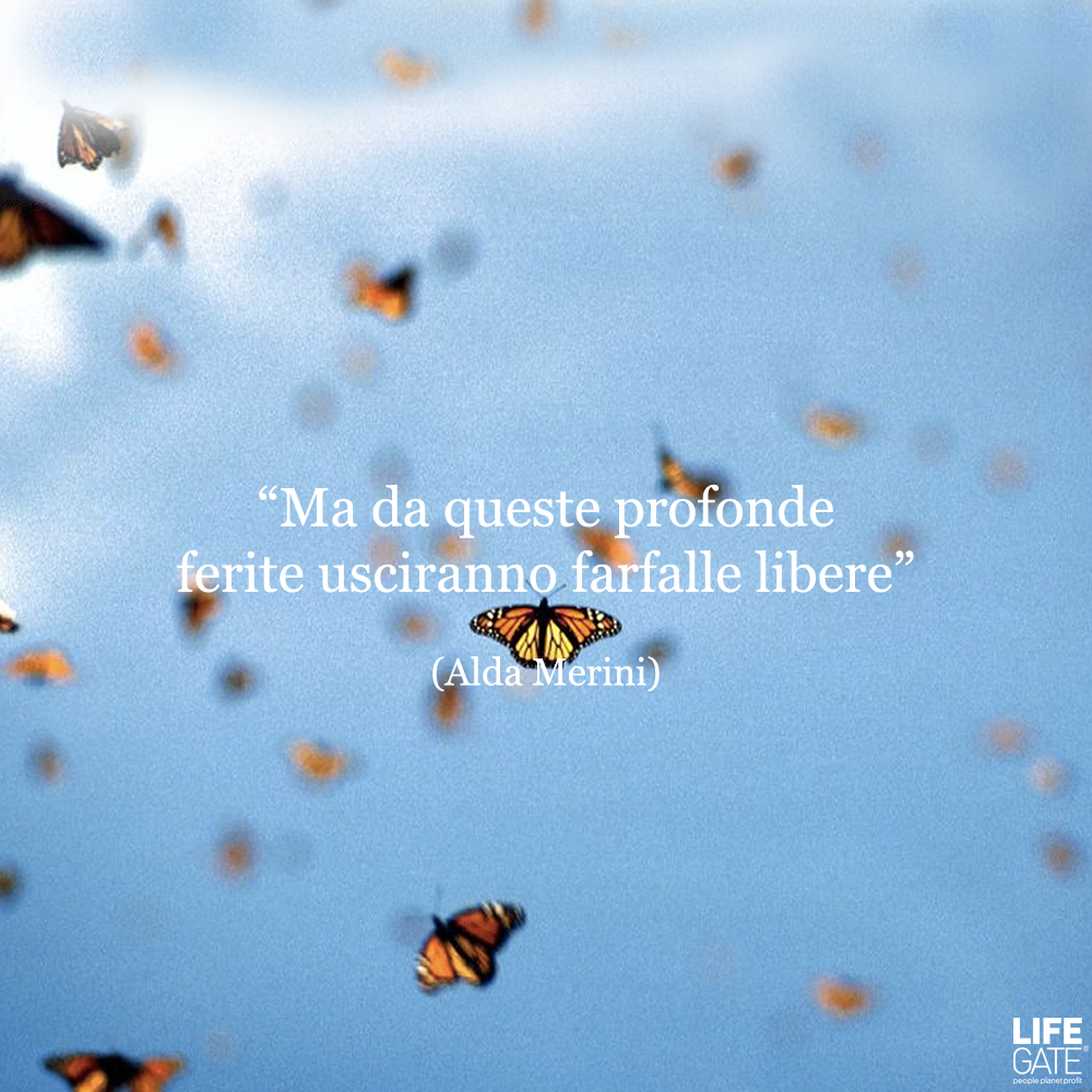 Una giornata tutta di poesia